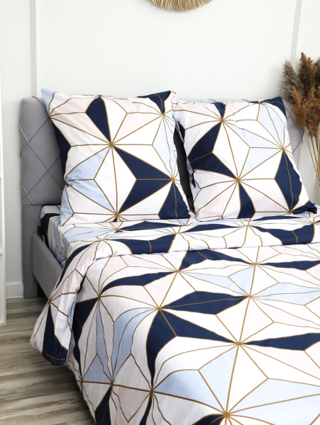 edf21009-c930-4bcd-a0f5-6ffb507bc6bd